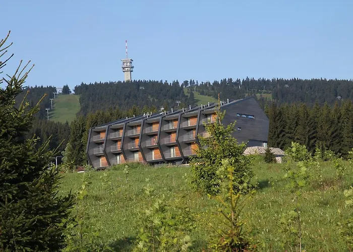 克里诺威克公寓 * Loučná pod Klínovcem
